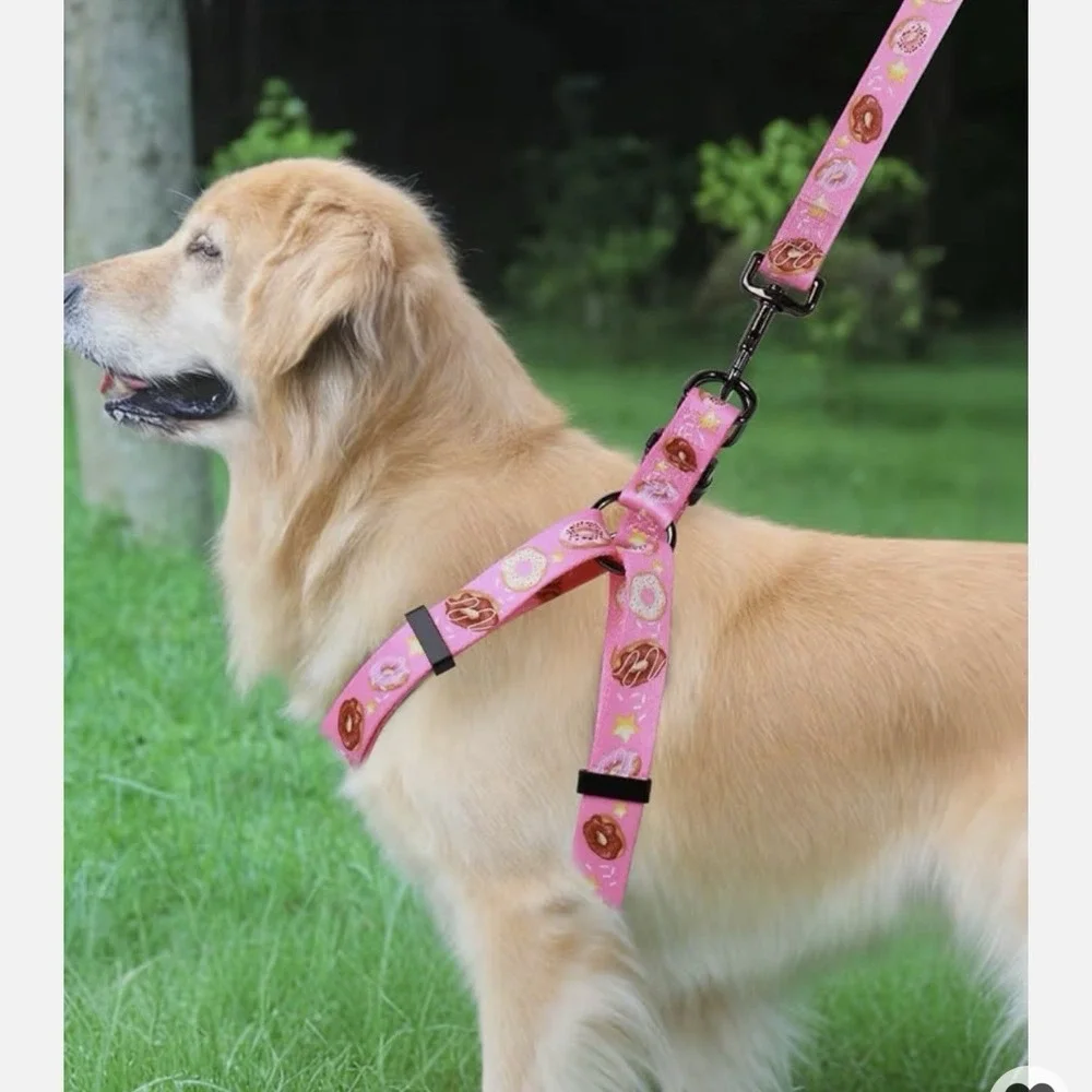 Dog Harness Leash Set Adjustable Heavy Duty No Pull Size L ( 22